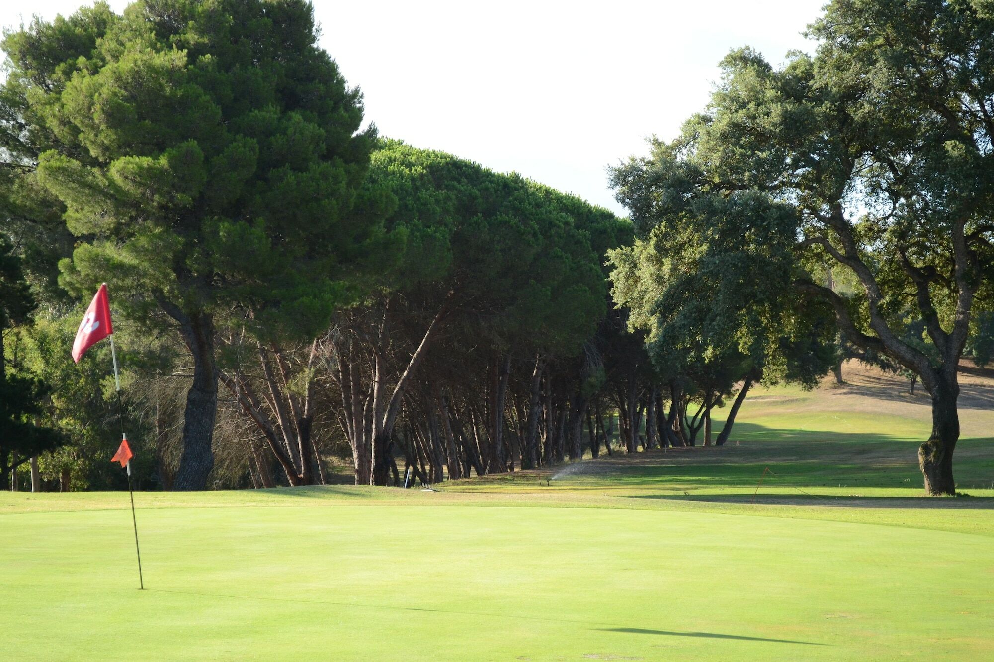 Allegroitalia Elba Golf Портоферрайо Екстер'єр фото